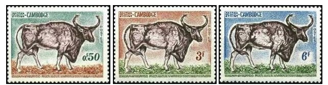 Cambodge 1964 - Fauna, animale, serie neuzata