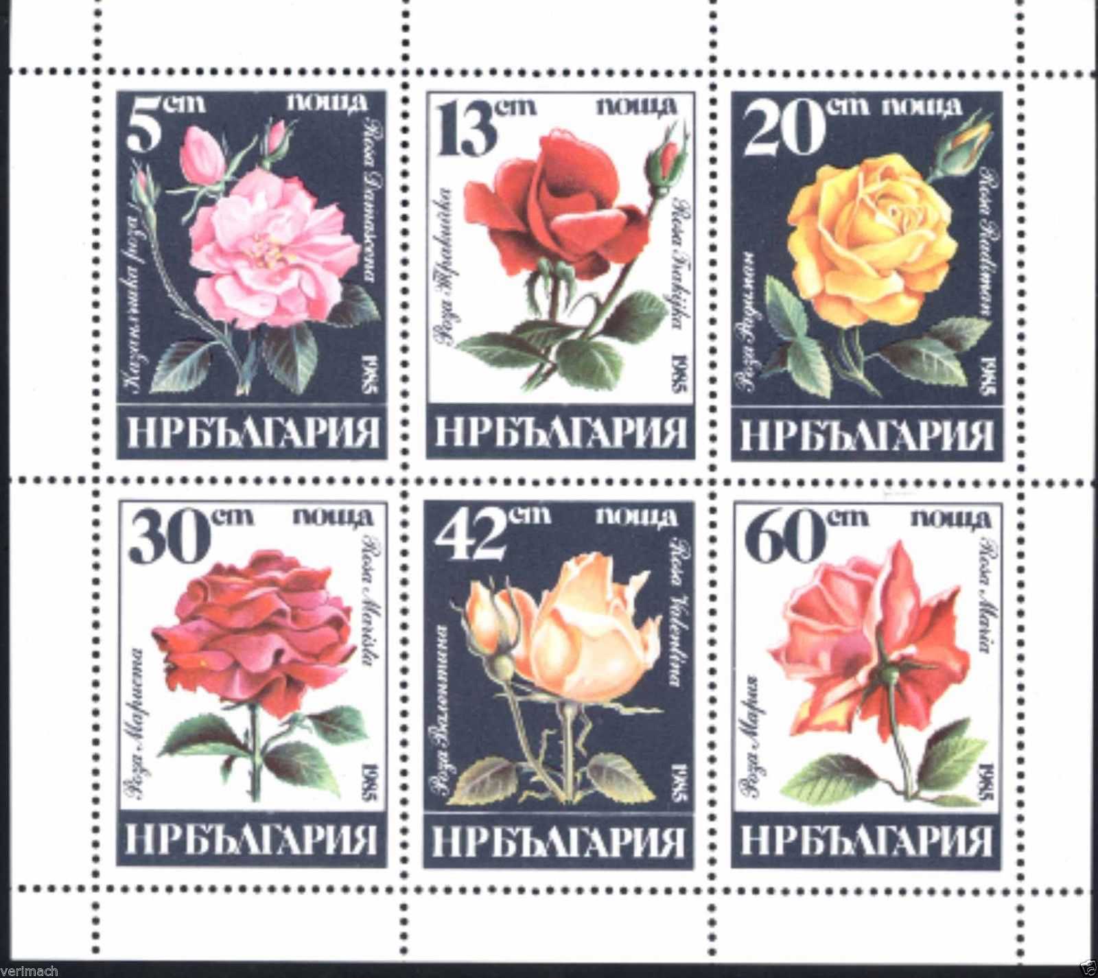 Bulgaria 1985 - Trandafiri, bloc neuzat