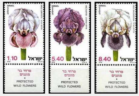 Israel 1978 - Flori, serie neuzata