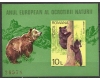 1980 - Ocrotirea naturii, ursi, colita ndt neuzata