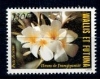 Wallis & Futuna 1983 - Flori, neuzat