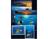 Micronesia 2001 - Fauna marina, pesti, serie minicoli+colite neu
