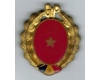 Insigna Garzile Patriotice, comandant pluton