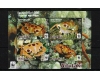 Aitutaki 2014 - Fauna WWF, crabi, bloc neuzat