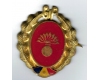 Insigna Garzile patriotice, infanterie